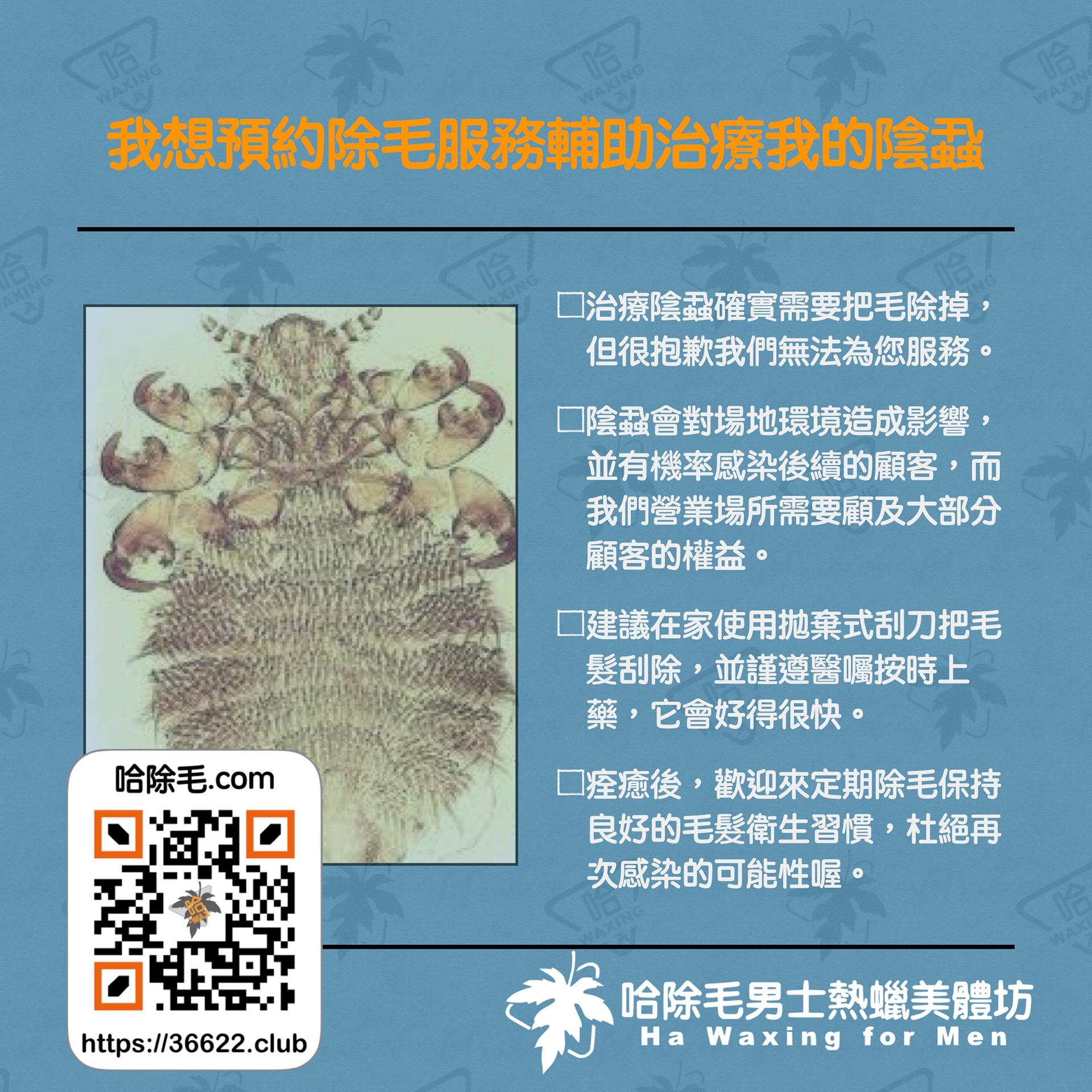 哈除毛男士除毛作坊 陰蝨治療需除毛