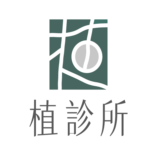 人人美｜醫美行銷 × 影音製作 × 流量成長 植診所