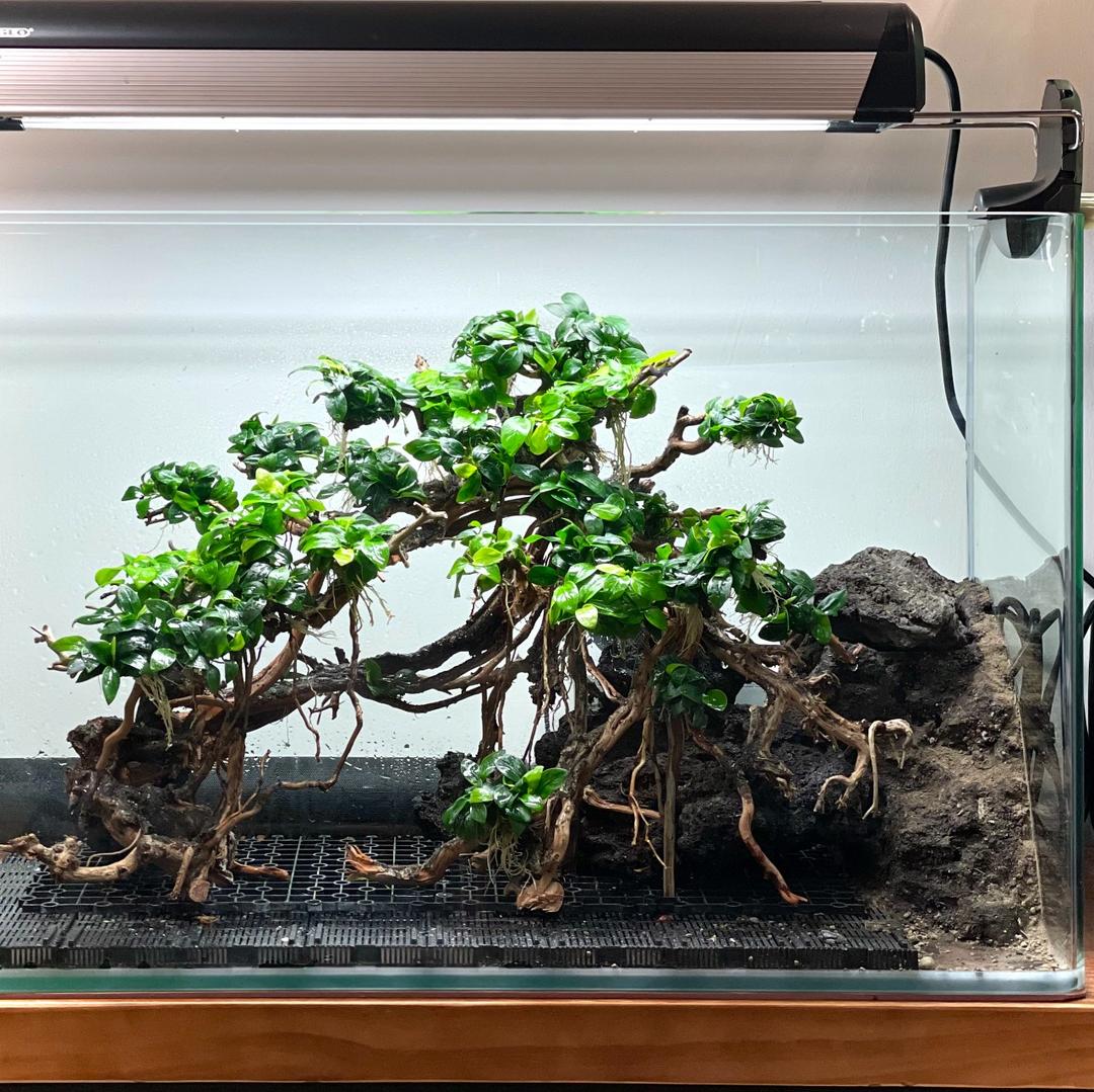 MeP Lab