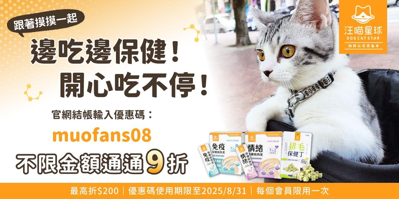 摸摸