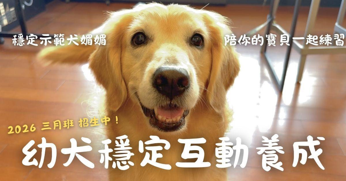 台灣狗語 Doglish.tw 台北幼犬社會化，治療犬媚媚特別課