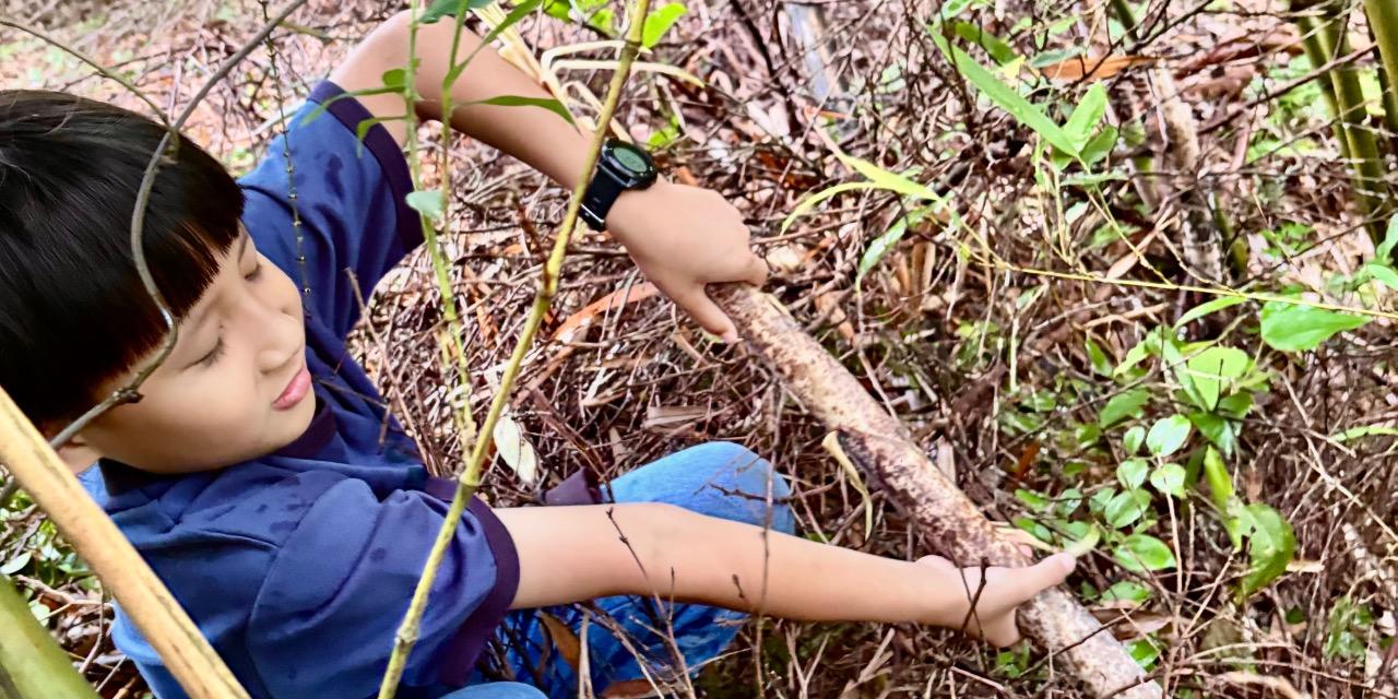 大地農場 📅｜4/6、5/3