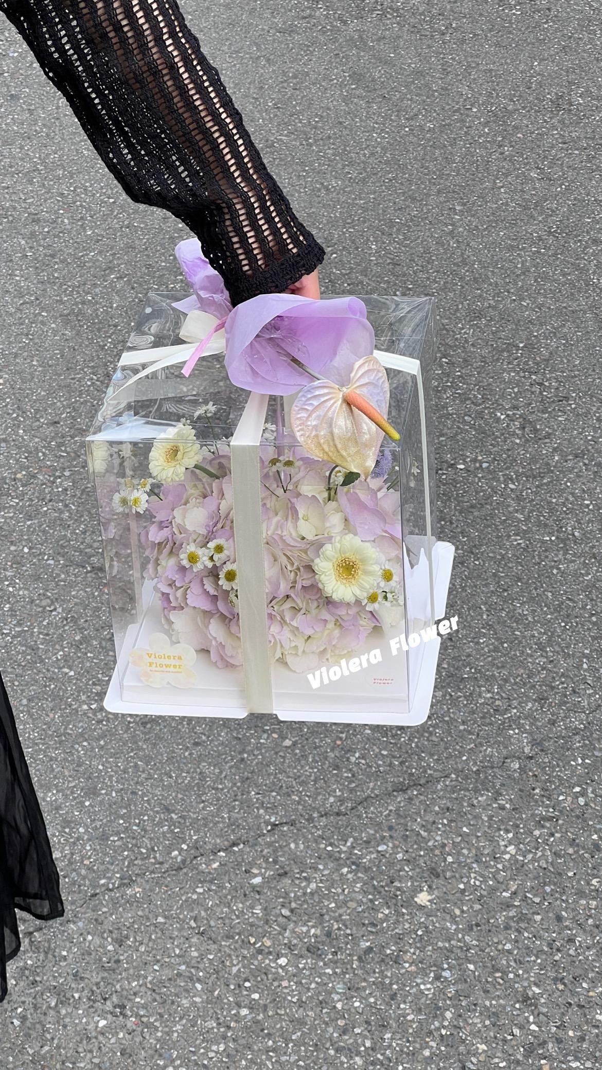 𝙑𝙄𝙊𝙇𝙀𝙍𝘼 𝙁𝙇𝙊𝙒𝙀𝙍