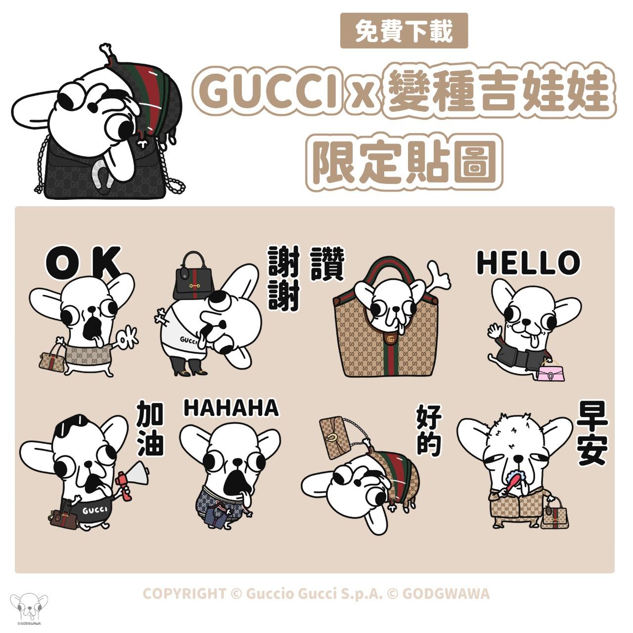 變種吉娃娃