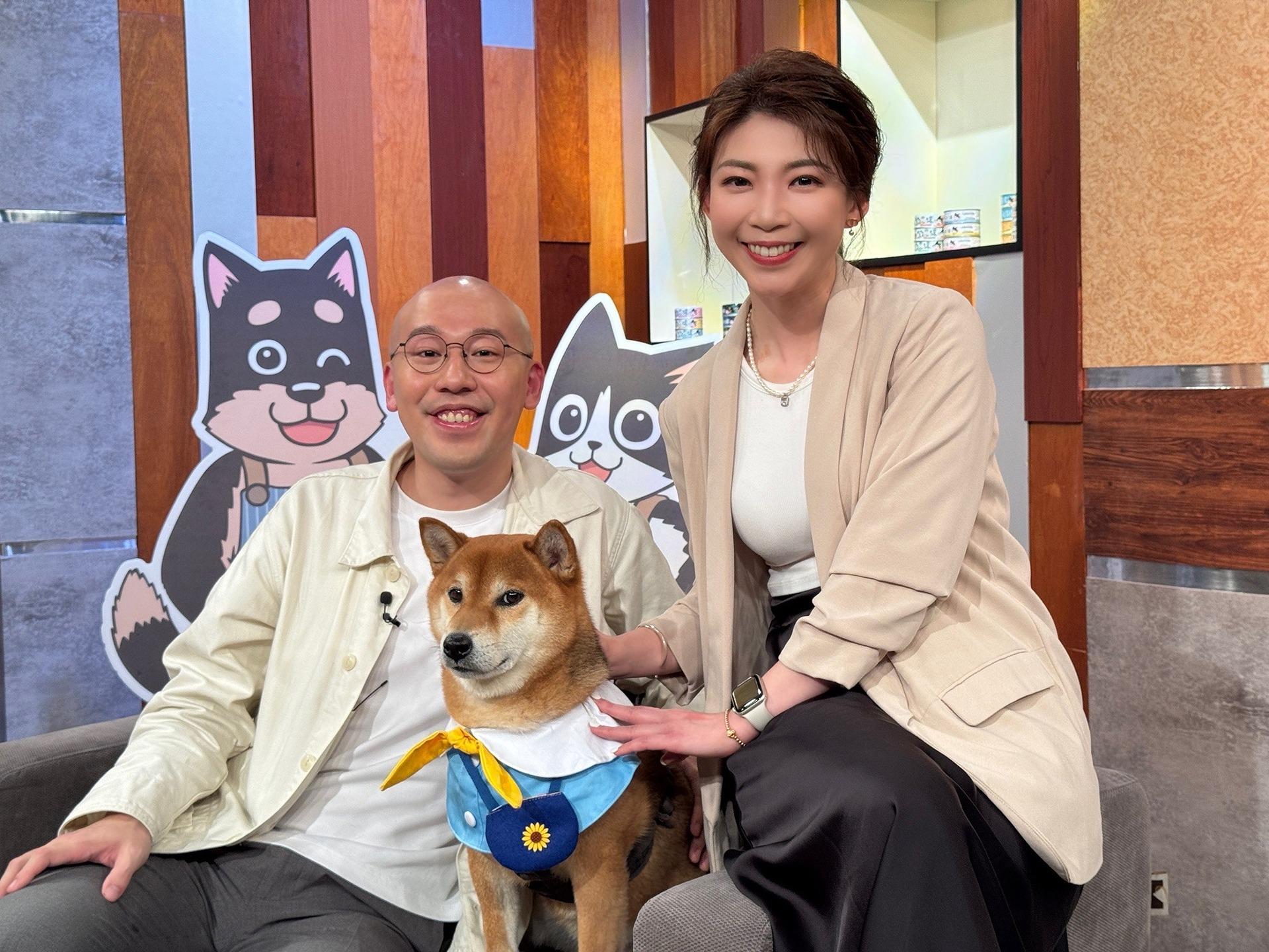 📌民視決策者「寵」出600億商機