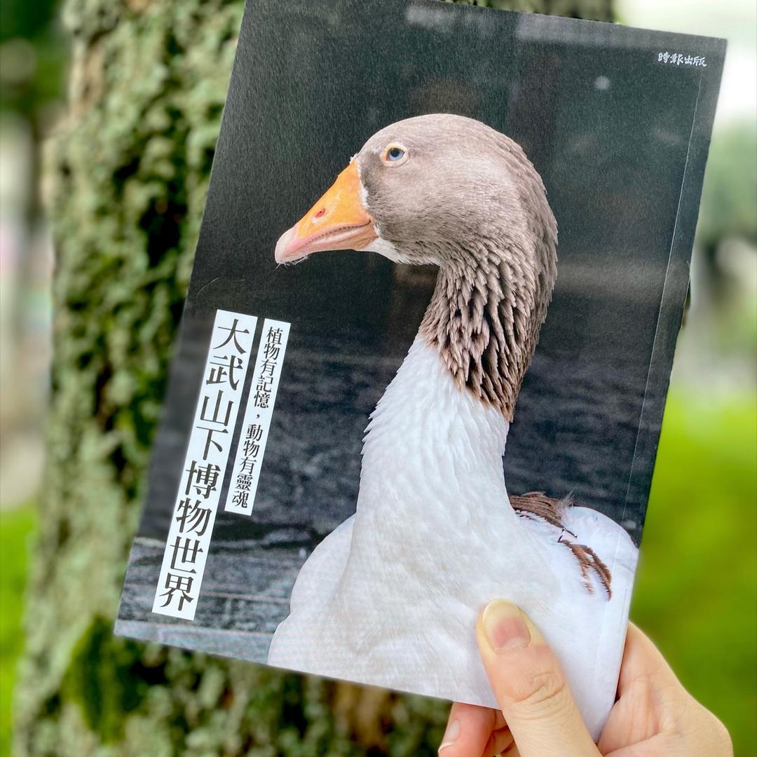龍應台書房