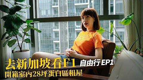 真奈特每天都在瞎忙