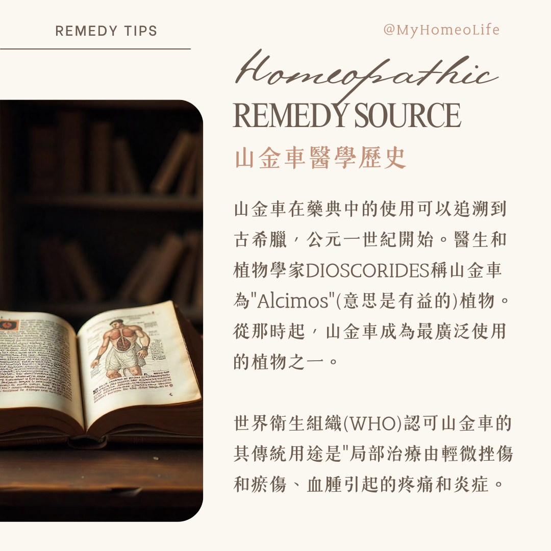 山金車 Arnica 順勢療法 homeopathy