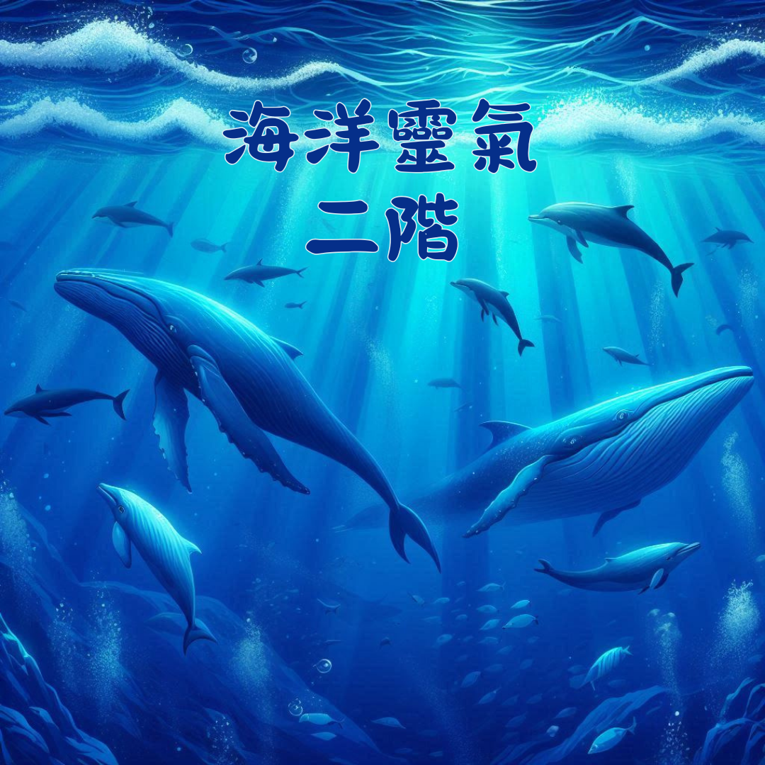 能量療癒師 馬婷 海洋靈氣二階