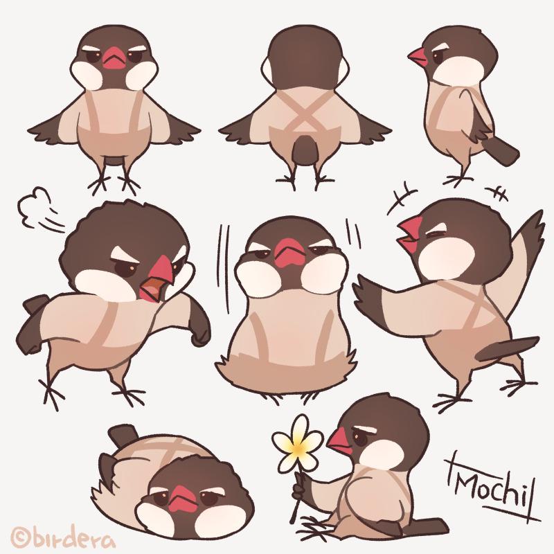 【 BIRD ERA 鳥時代 】