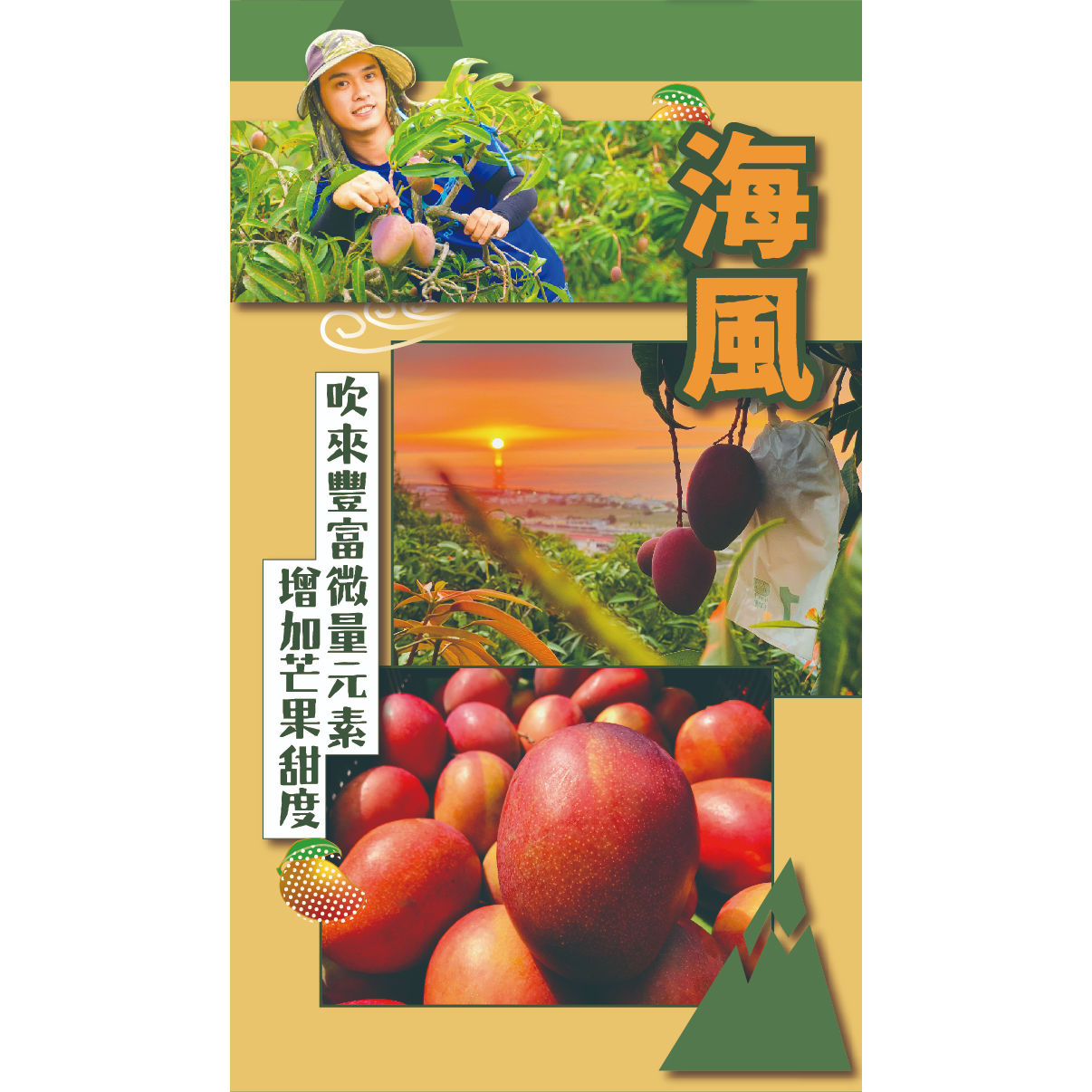 超芒人農場