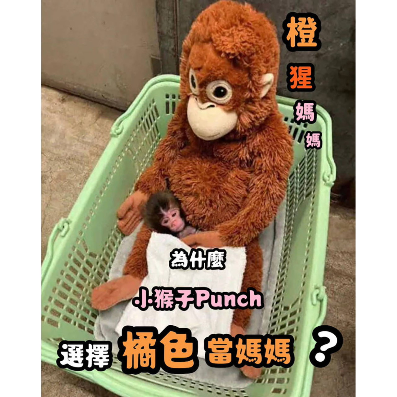 呂玲畫室 LUSTUDIO