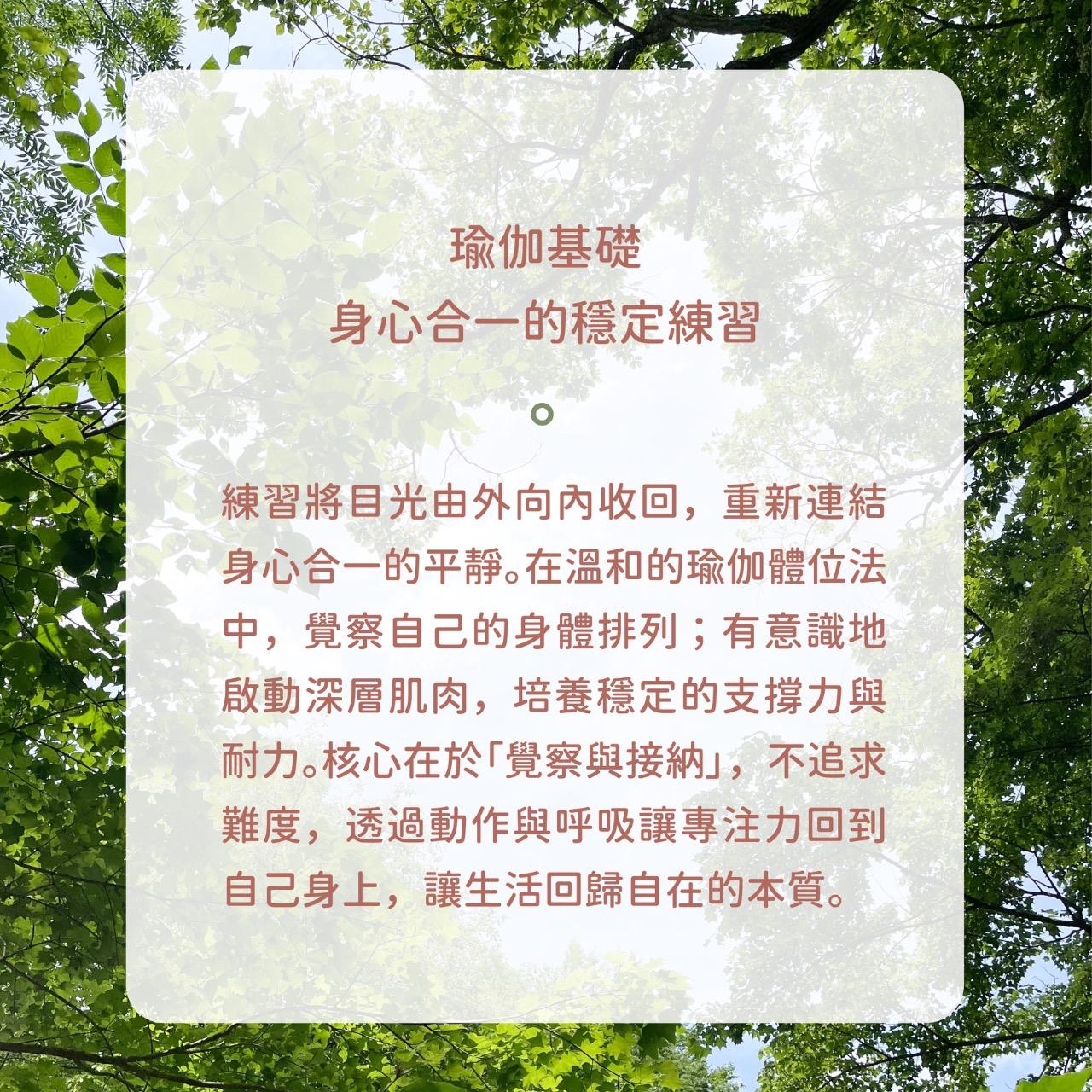 鹿徑晴朗・All the Wandering Lights