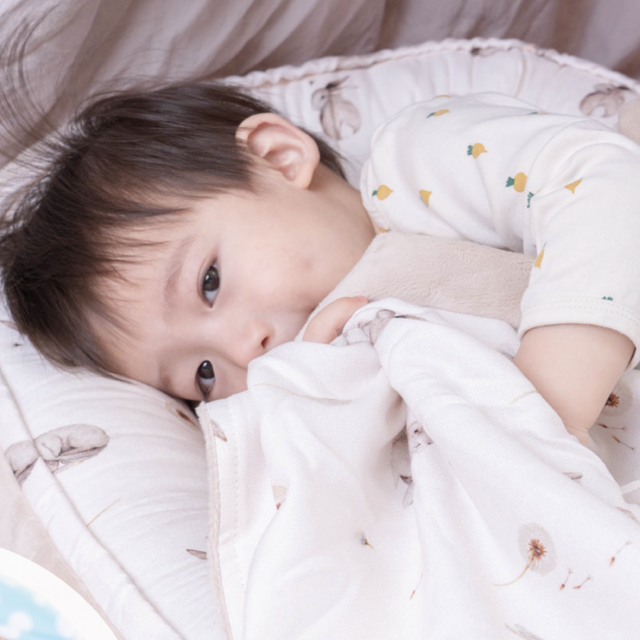 茜茜心得文👉寶寶床中床/健力架