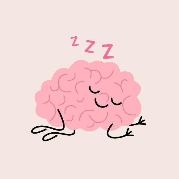 腦科學是什麼
