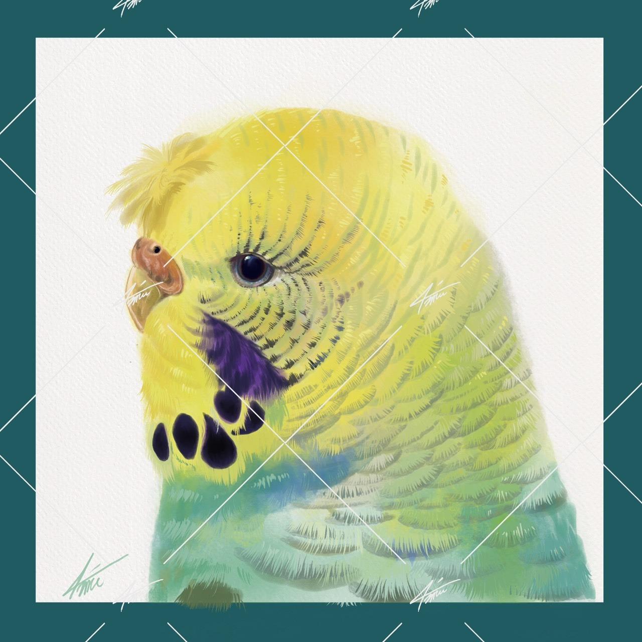 戴圍兜兜的貓 מּ ≋𝒞𝓵𝓪𝓾𝓭𝓲𝓪 𝓛𝓲𝓷 ৲ 4𝓶𝓾 ≋ 2048x2048，300dpi，RGB