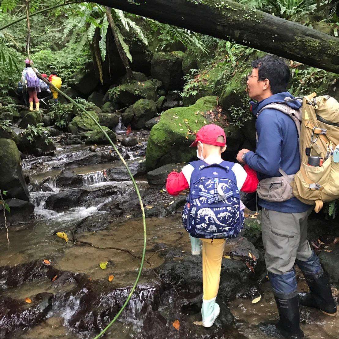 《部落格》我的華德福/山林教育筆記