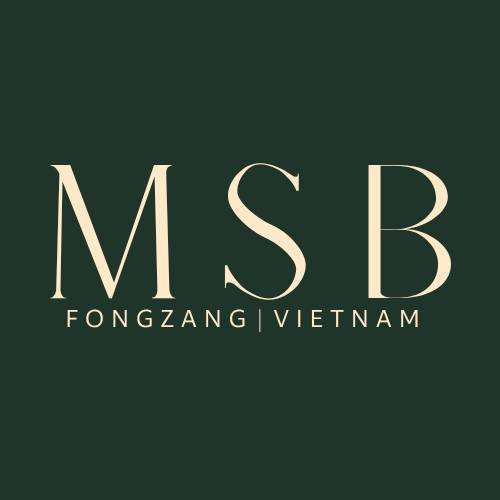 MSB Việt Nam
