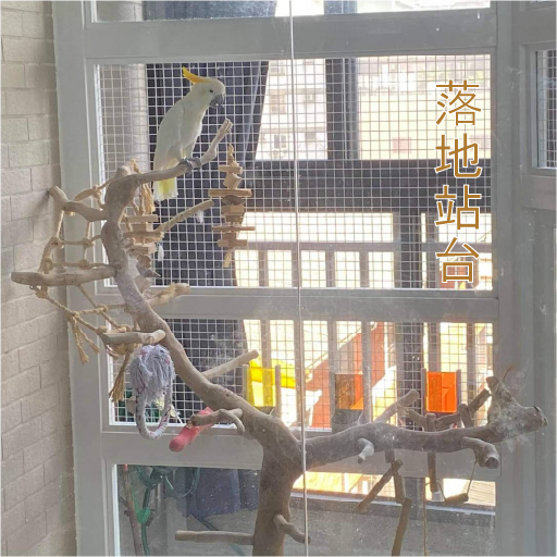 魚雁木坊│鸚鵡寄宿x站台玩具