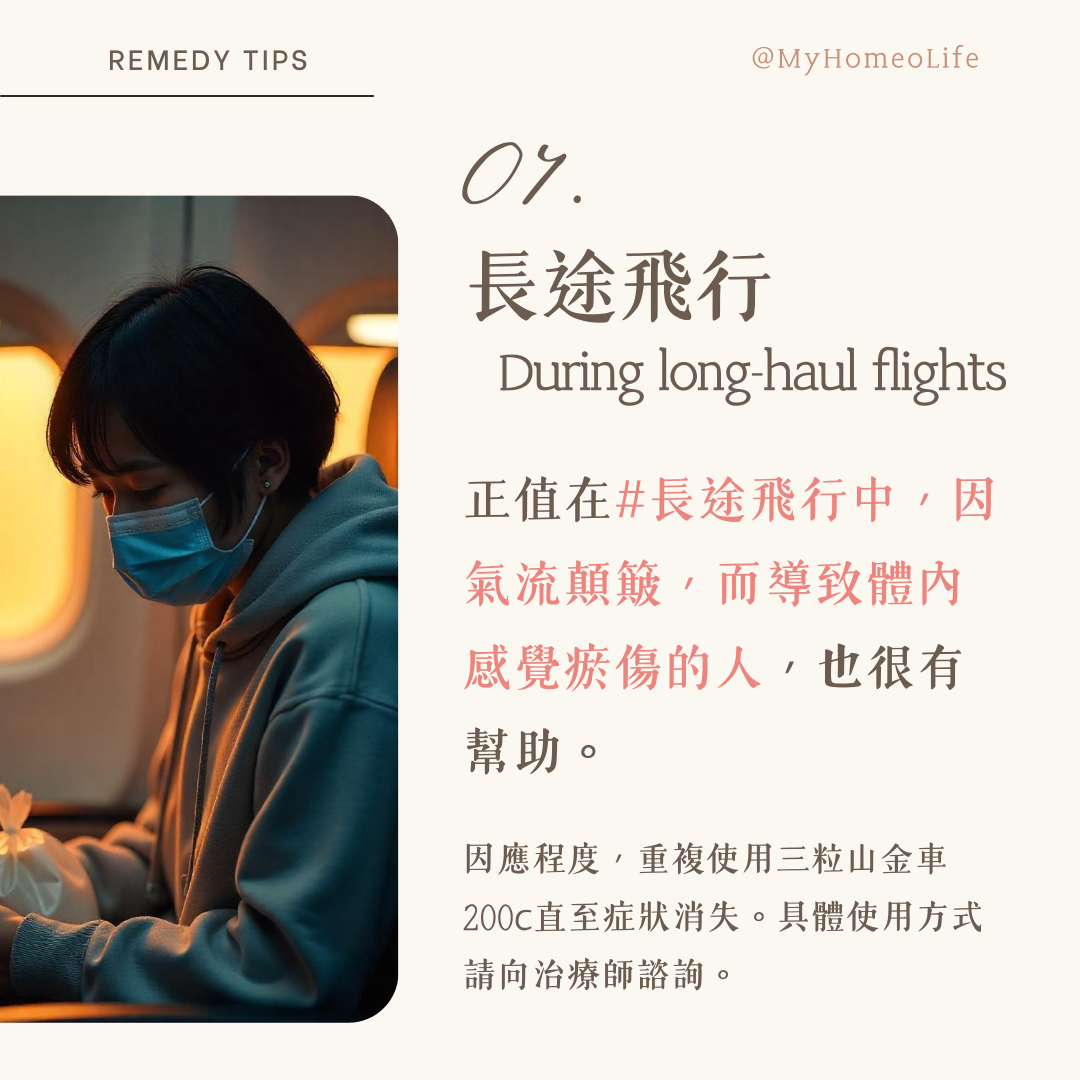 山金車 Arnica 順勢療法 homeopathy