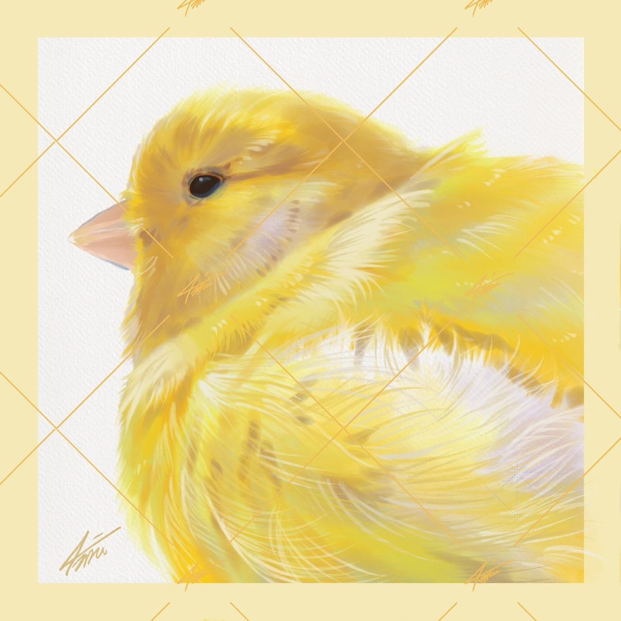 戴圍兜兜的貓 מּ ≋𝒞𝓵𝓪𝓾𝓭𝓲𝓪 𝓛𝓲𝓷 ৲ 4𝓶𝓾 ≋ 2048x2048，300dpi，RGB