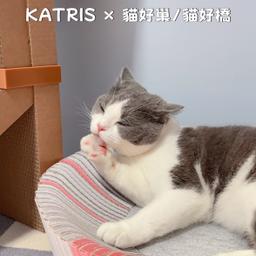 沐᳐尼᳐੭ﾞ× 雪᳐泥᳐੭ﾞ