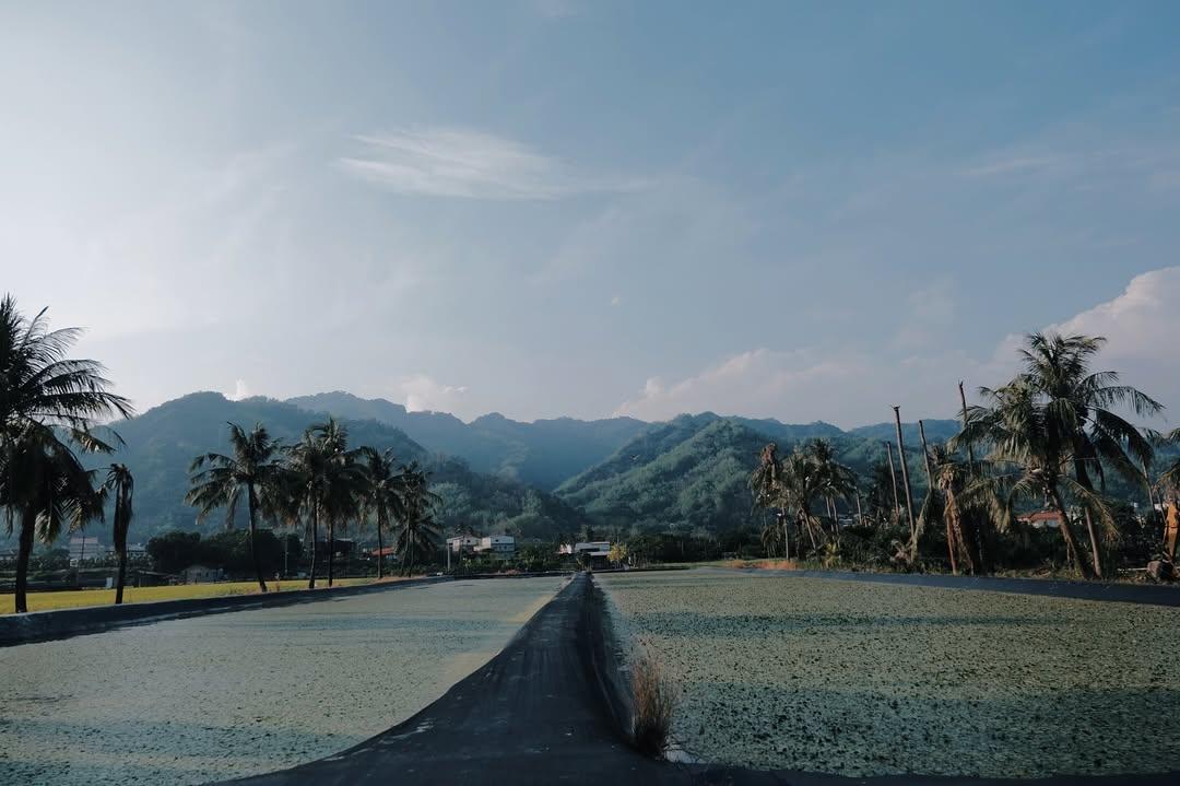 abzabz ⁡
在夏季號《靛花》發刊詞寫下「阿勃勒盛開時，阿婆家簷梁上的家燕也誕生下幼雛，時節來到溽暑。」
⁡
⁡
某一天，忽然很想阿嬤，於是快閃阿嬤家兩小時，跟阿嬤一起看無聊的綜藝節目，聊著舅公昨日送來的青菜，哪一個叔公死了，前幾天有山羌跑進田裡這樣的話題。
⁡
想起五月時我人在美濃採集，寫下的日記。
⁡
‎𐡚
⁡
在美濃停留兩個夜晚，難得出差，在工作開始前早起出門，騎著腳踏車，繞進月光山腳下的巷弄。這土地會生出一個個懷有鄉愁的人，因為濃烈的稻香，因為起舞的水鳥，因為黃昏時軟軟的陽光，因為夏夜的南風繾綣，因為河流慢慢地流。
⁡
那是一個會讓人想家的地方。
⁡
南方相遇的人們對我說，再來玩。比起再見，那更像一句珍重的道別。
⁡
新埤香蕉園的大哥大姐在離別前塞給我們香蕉、芒果與芒果青，好像我們是吃不飽的小孩。香蕉園有即將落雨的跡象，我已習慣了編採是趕路，有時為了前往下個地方，不得不錯過。想停留下來，哪怕是承受一陣雨。
⁡
轉來寮，回苗栗公館時，附近的阿伯都會這樣說，說我是轉來寮。他們要我常常轉來寮，我笑著點頭，成熟是懂得善良的謊言。
⁡
我常常需要說再見。說再見時，受訪者們對我說，有空再來玩。感覺比起再見，是個更意味深長的道別。
⁡
看著那一串香蕉，知道有些牽掛顯然會讓我的背包太過沈重。
⁡
而我也已經想家了。
⁡
‎𐡚
⁡
離開阿嬤家時，抬頭看到屋簷上的燕子窩，阿嬤說，今年他們已經來過、又走了。
⁡
阿嬤家是每次前往都覺得太遲的那種抵達。我總在真正的節氣到來前，想像那個時節的溫度與顏色。時節到來，我卻好像早就過完夏天。
⁡
在諸多龐大的專案中，必須定錨出小小的一個點，習慣生活的時差，安於路徑的分岔，往前時就能心無旁騖。為了前往下個地方，我們不得不錯過。深怕自己錯將冷淡視為果斷，將麻木視為勇敢，成長時難以辨認的，一不小心就會失去。
⁡
今年一直在燃燒的工作狀態中，時時感到榨乾腦力，但也一直收到回應的訊號，無論是企劃、新空間、策展、專欄、製作刊物，能清楚感覺燃燒查克拉的盡力與盡興。
⁡
人類是為了得到回應而發出聲音，還是為了發出聲音而敲擊這個世界呢。
⁡
有種心情是，我是這麼喜歡這件事，若是被這件事折磨，那也是無可奈何的啊。持續做著這樣生產性的工作，彷彿從自己的深處刨刮，看看還能有什麼我不知道的事。有很多歡喜，也甘願受。雖然艱難，但也深刻，
⁡
我得持續前往，才能讓那些錯過值得。牽掛著那一串南方香蕉的情意，年已越過一半，希望自己的行動更柔軟，思考更有力量。
⁡
這麼奔忙的日子裡，有人掛念著自己，多麽難得，我將所有想念的心意慎重地珍藏著。
⁡
⁡
⁡