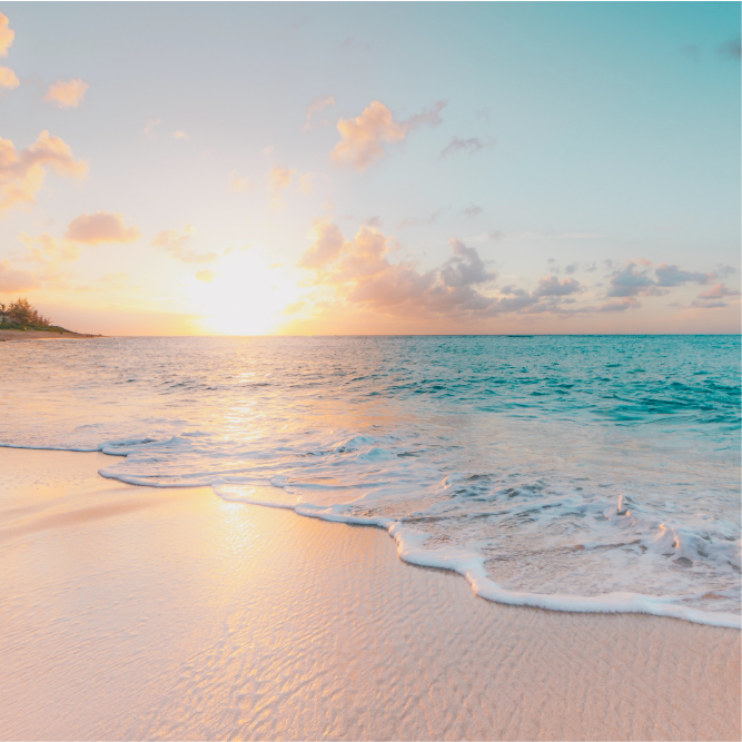 HafH Taiwan 夏威夷