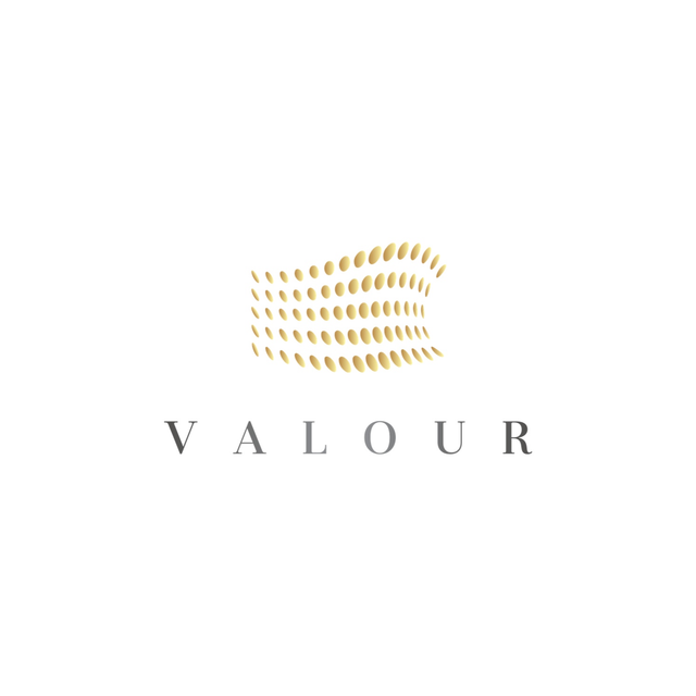 蔚萊教育Valour