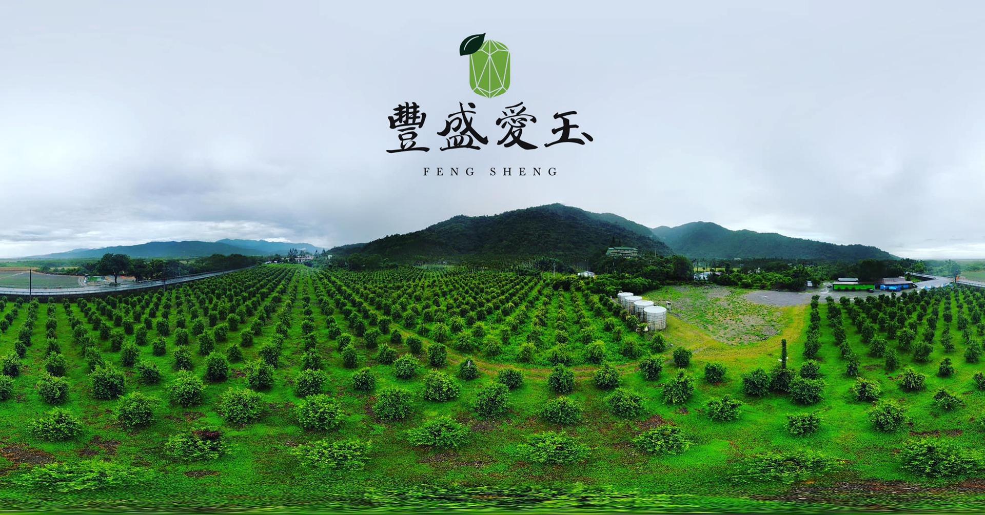 來自宜蘭太平山下的豐盛愛玉 園區全貌