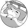 冬眠の蛙