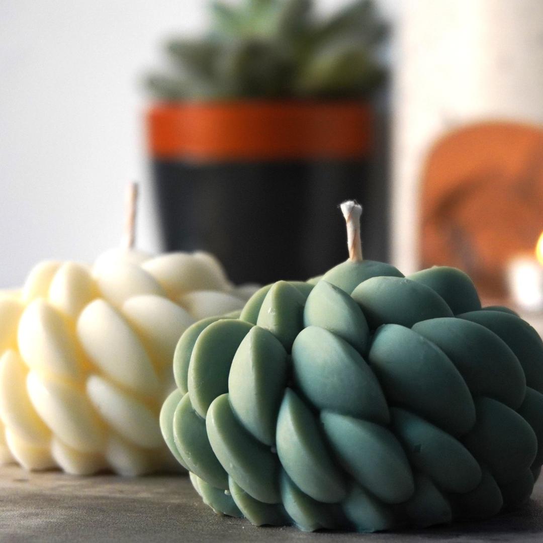 Urban Botany Swirl Succulent Candle