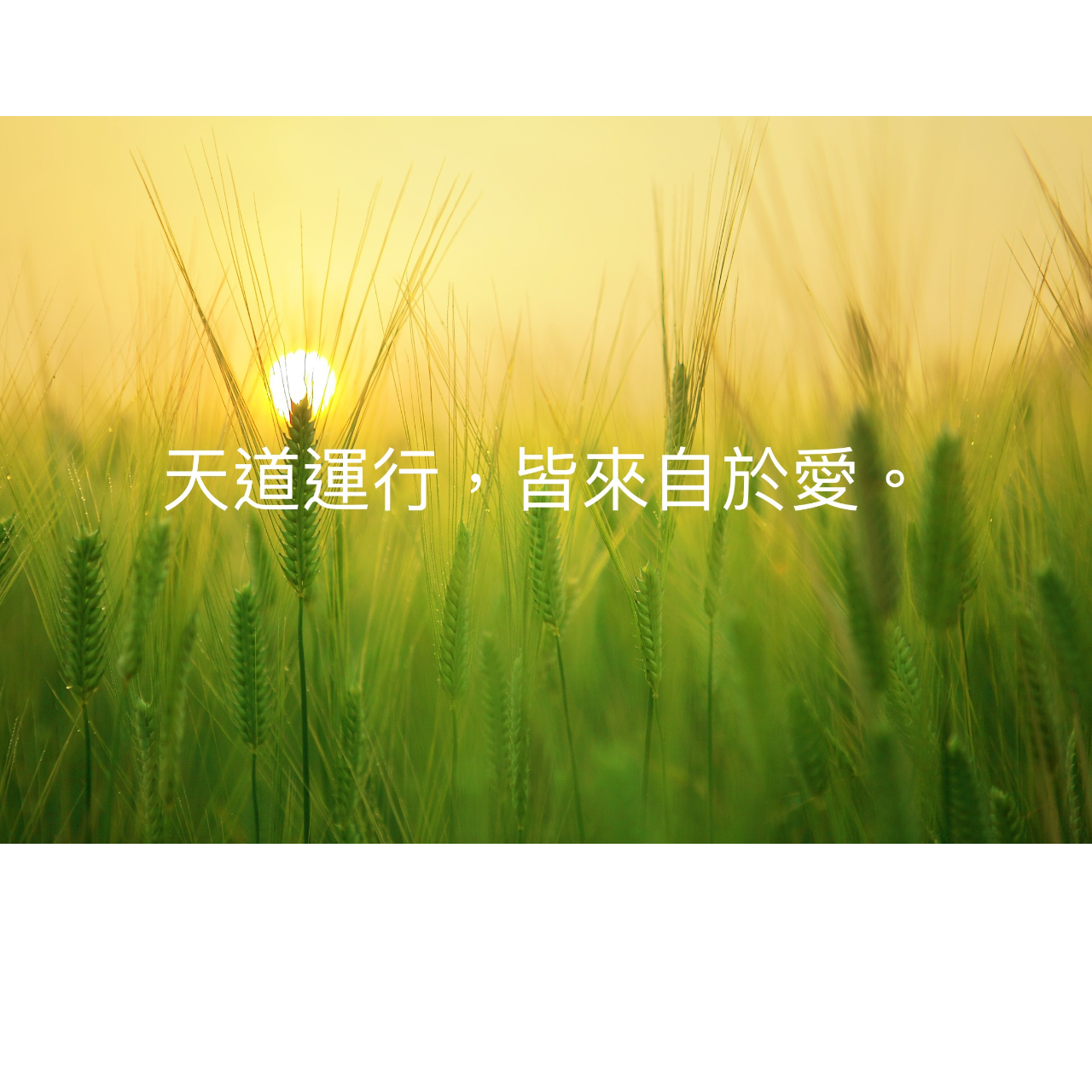 《白龍尊者》綠能量通靈系統☆GAC天賦系統