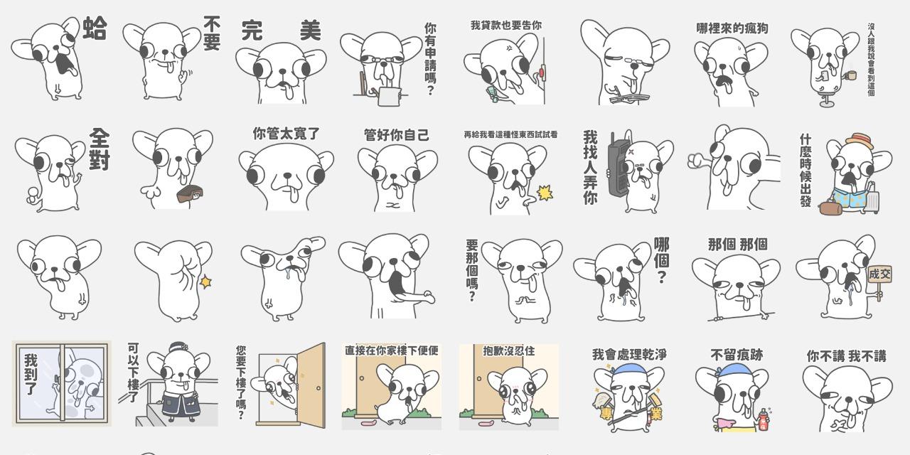 變種吉娃娃 變種吉娃娃 貼圖