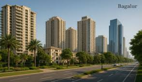 Purva Northern Lights