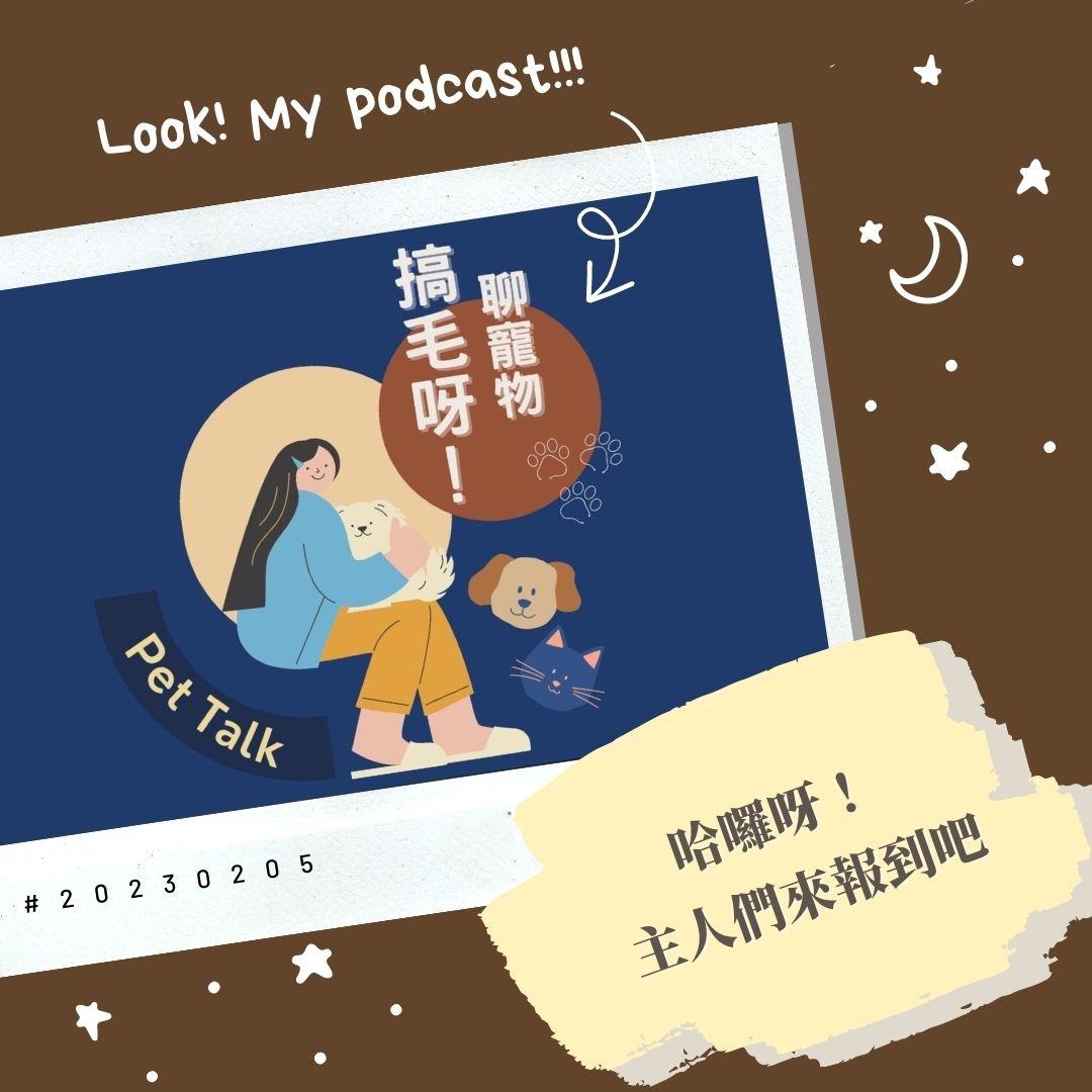 搞毛呀,寵物,狗狗,貓咪