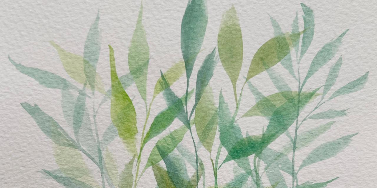 小樹茉莉 繪畫創作│五術筆記│靜心文字