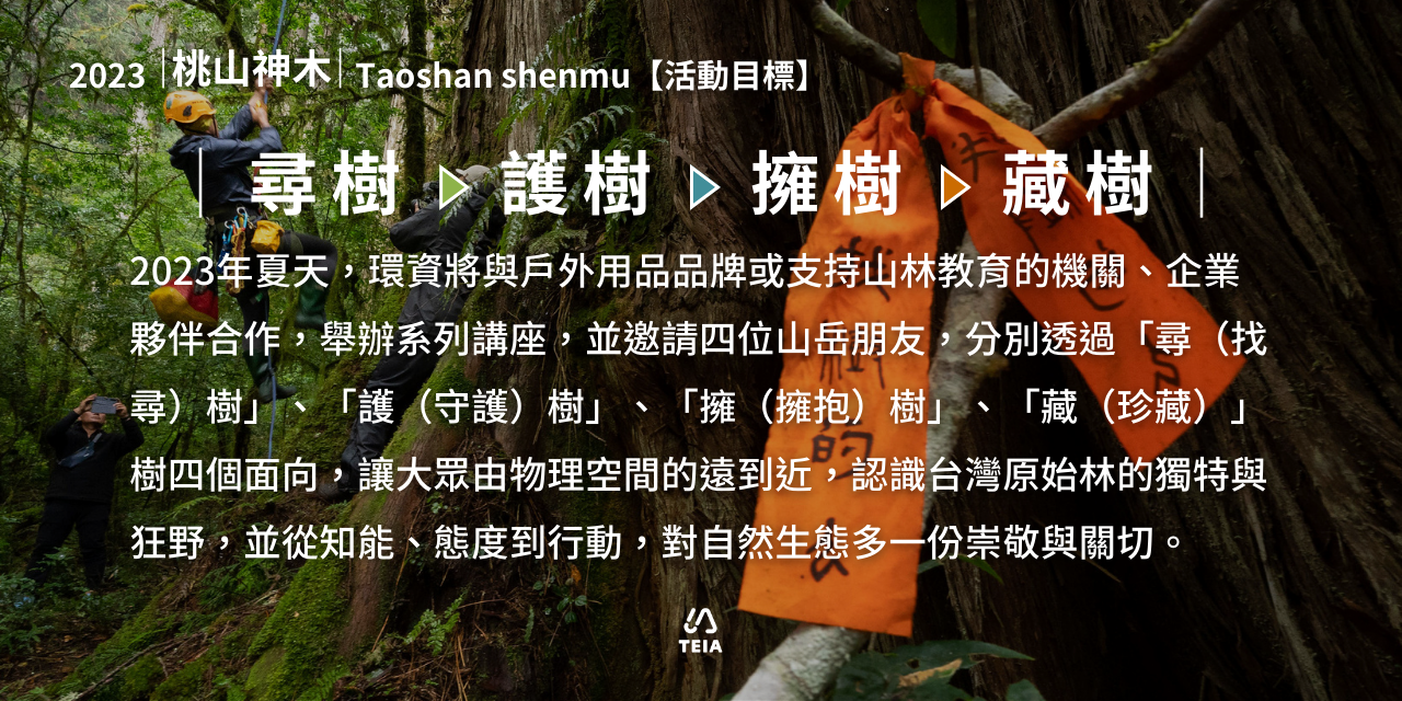 桃山神木｜撞到月亮的樹