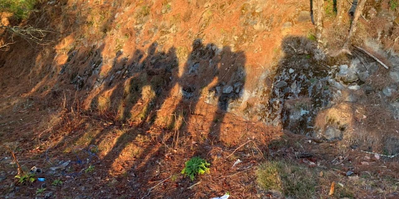 走啊來爬山 專欄文章