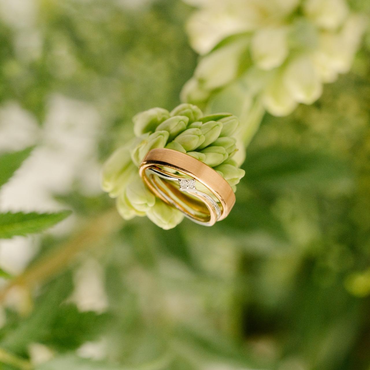 劉劉影像工作室