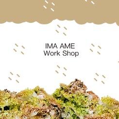 IMA AME 今雨