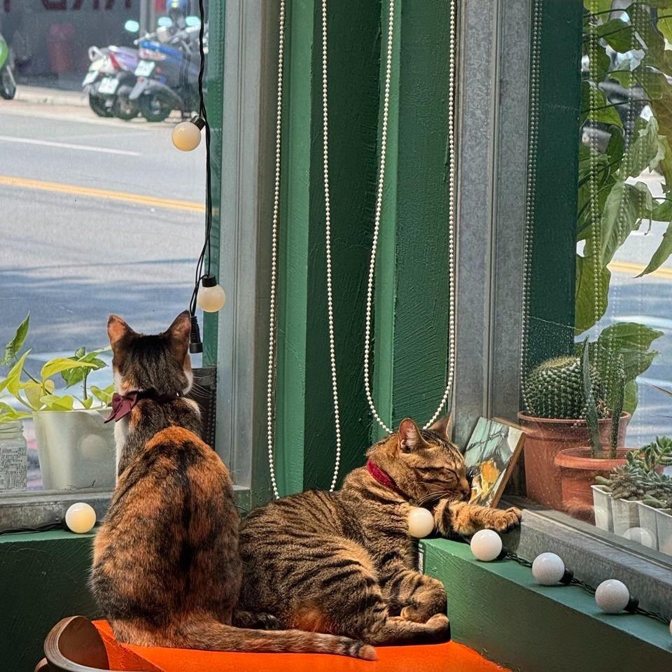 Twilight Green 樹林裏的綠夕