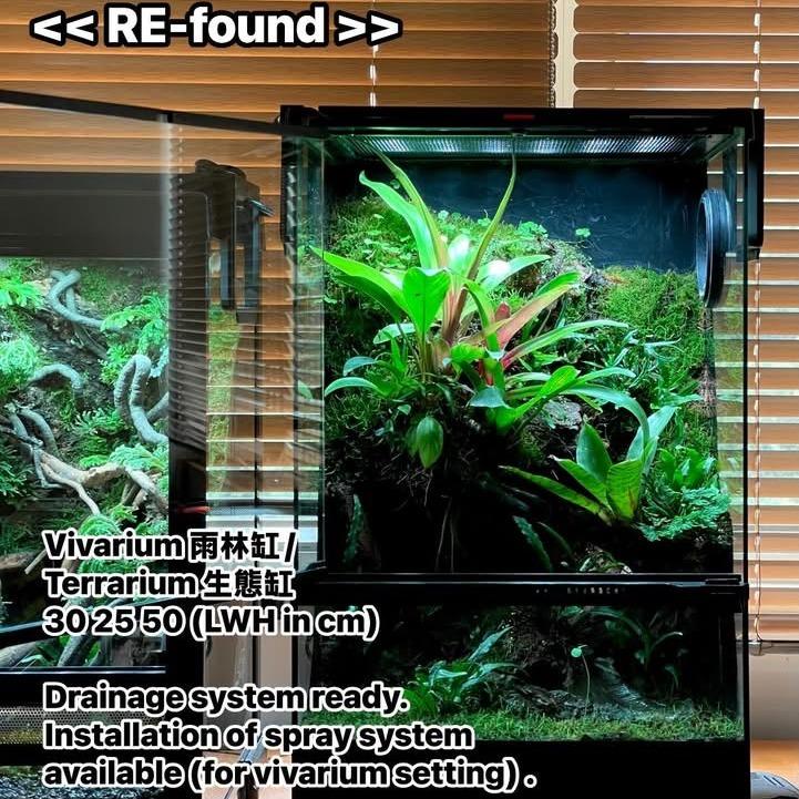 Vivarium 雨林缸 Terrarium 生態缸 熱帶雨林 熱帶植物