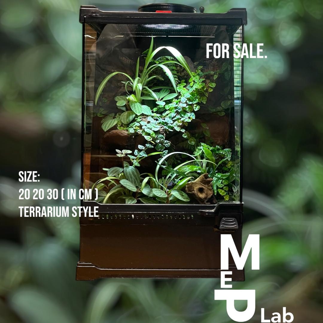MeP Lab &lt;&lt;crested&gt;&gt;