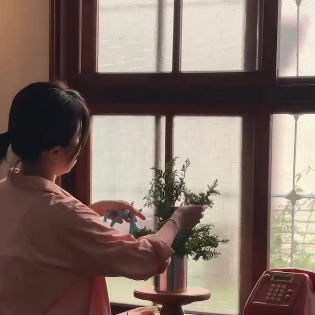 𓇬芔𝐆𝐫𝐚𝐬𝐬𝐥𝐚𝐧𝐝 花藝 𓇬