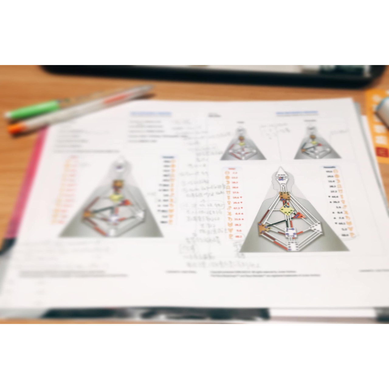 迷霚引路人 │ Judy Chang