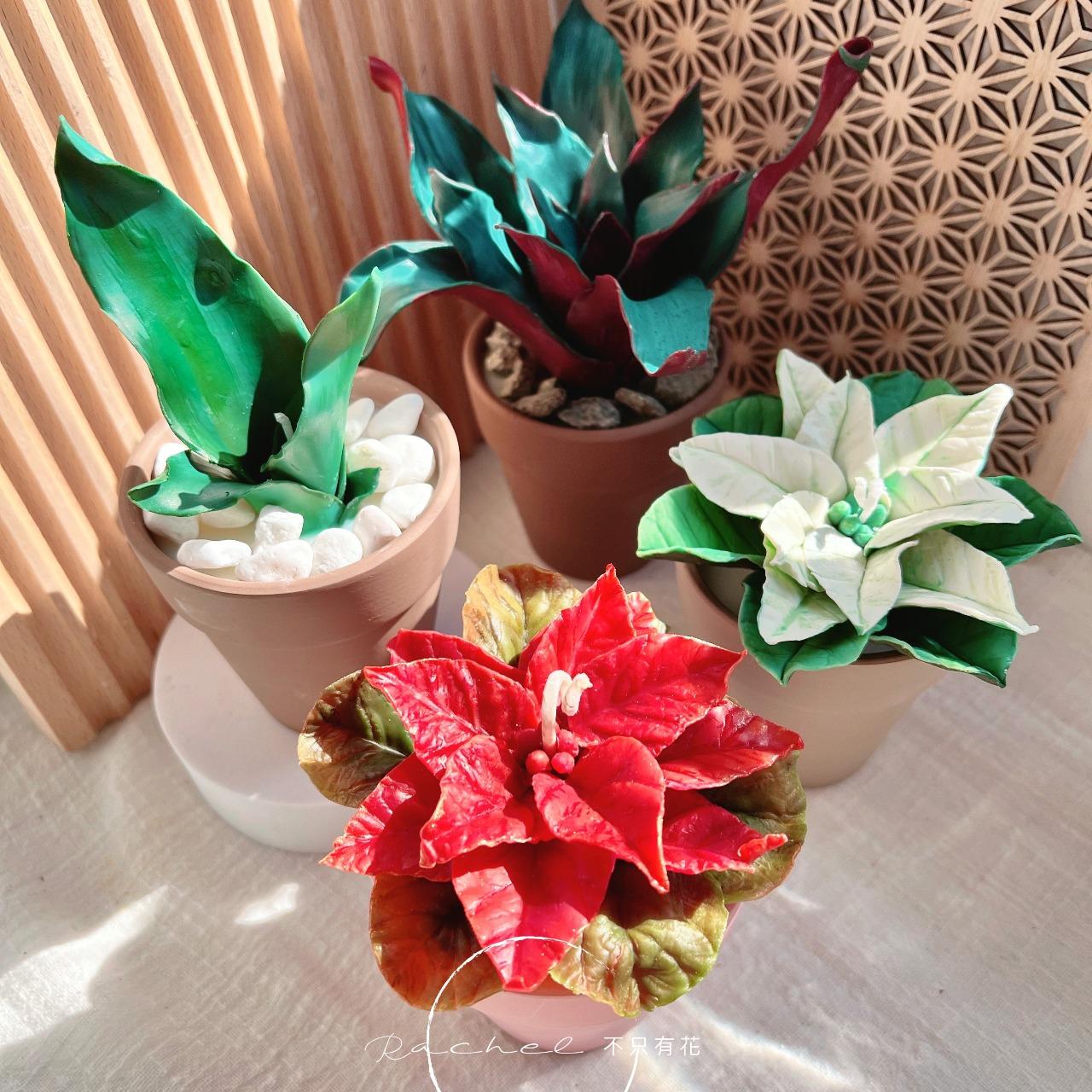 蠟燭證書課、韓式蠟燭證書課、植物蠟燭、蠟燭蛋糕、蜜蠟證書課