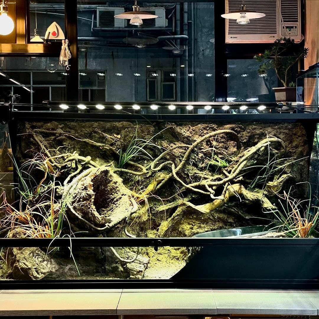 MeP Lab