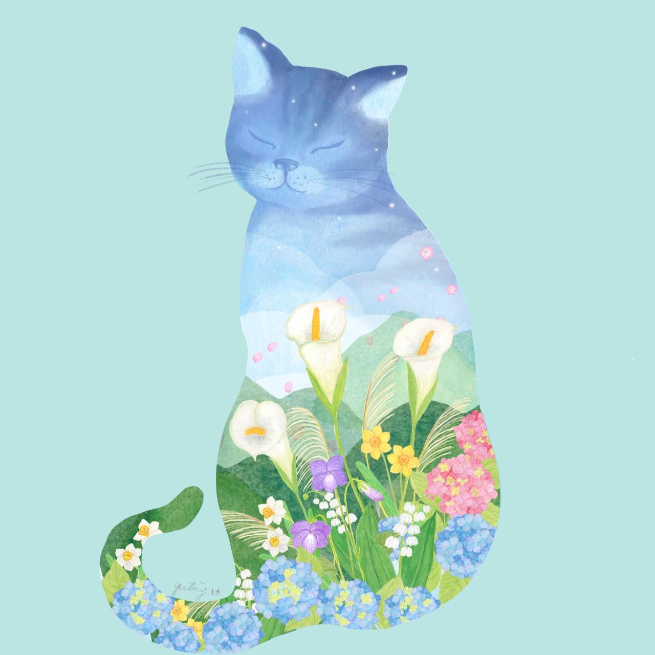 Selfish Illustration Selfish Illustration ⋄ 陽明山花貓