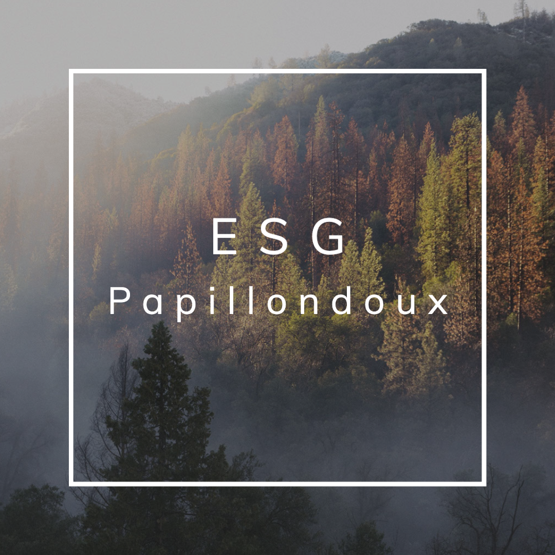 papillondoux透過ESG執行環境友善與公平貿易和社會責任